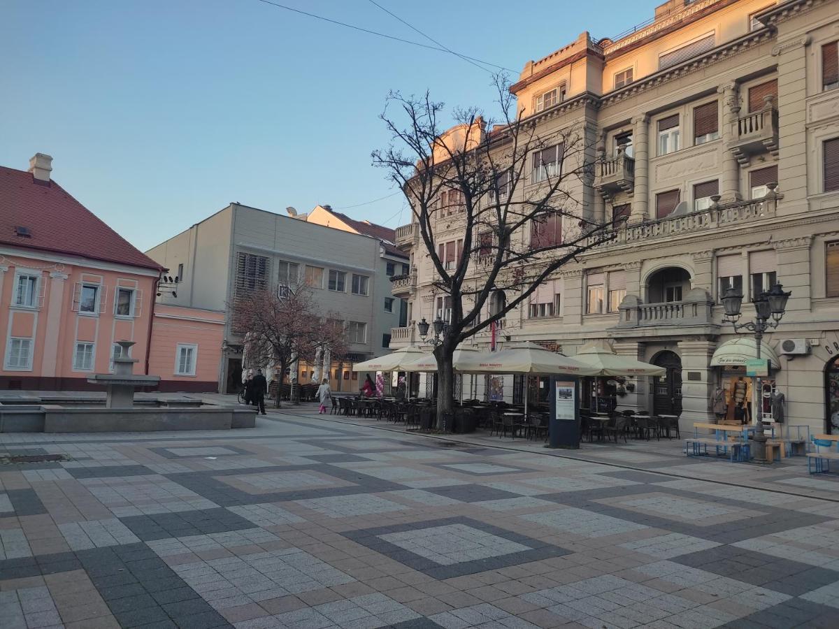 Appartement Woody à Novi Sad Extérieur photo
